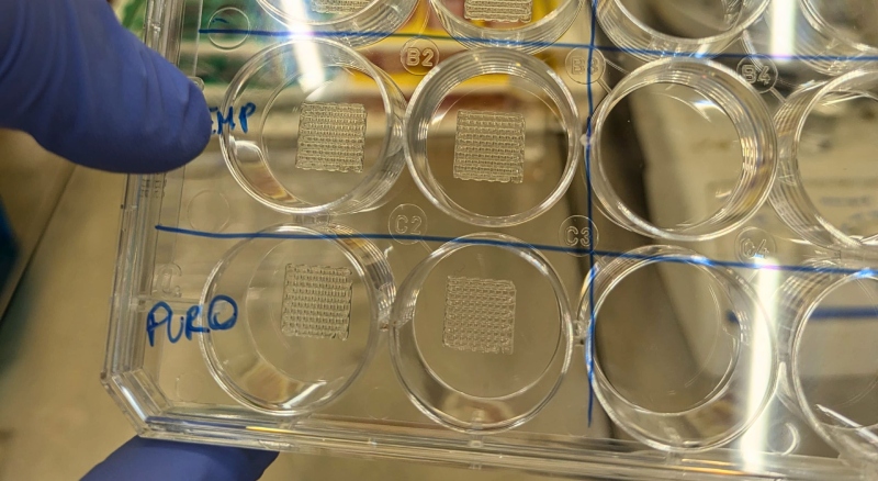 Bioprinting